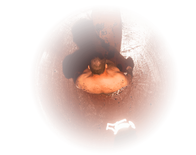 vinification vinification