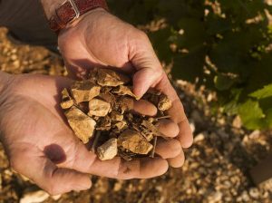 Champagne de vigneron