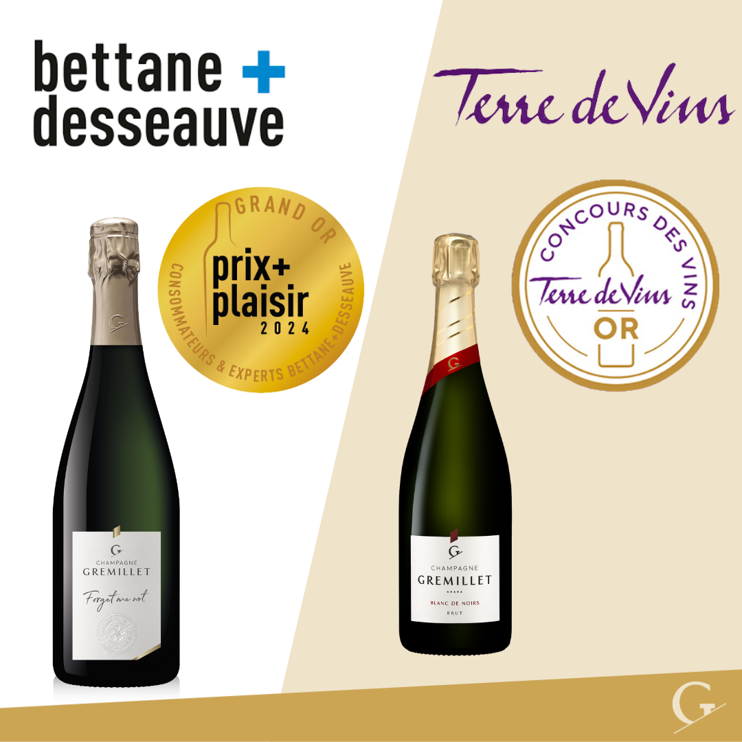 Lire la suite à propos de l’article Bettane&Desseauve+ Terre de vins 2024