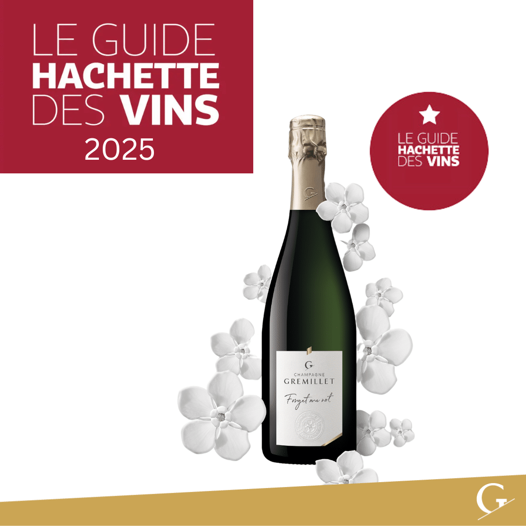 Lire la suite à propos de l’article GUIDE HACHETTE 2025